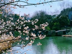 -西溪国家湿地公园