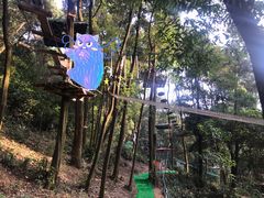 -天鹿湖森林公园