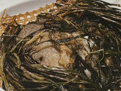 -老吉士酒家(天平路店)