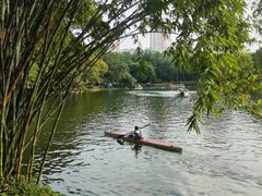 -晓港公园