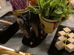 -慢丽江·云南野生菌土鸡锅(付家庄店)