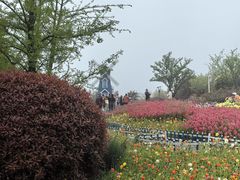 -铁山坪森林公园