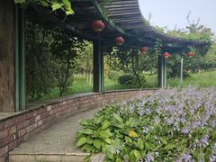 -莫子山公园