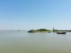 -大湾区中央湿地公园-十九涌