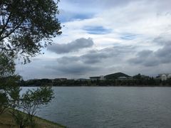 -羊山湖公园