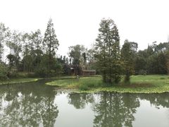 -桤木河湿地公园