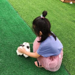 -萌宠亲子动物乐园(槐房万达店)