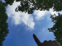 -东平国家森林公园