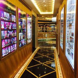 -莎蔓莉莎美容会所