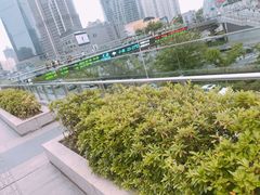 -陆家嘴空中步行连廊