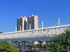 -金鸡山公园