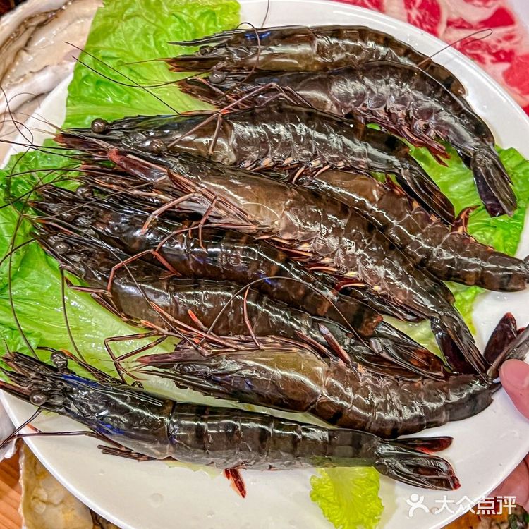 宝安的这家鸡煲吃了一次之后就真的让我难忘的不行