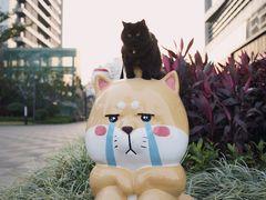-星巴克(珠海仁恒滨海中心店)