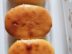 -幸福鸟动物奶油生日蛋糕(军校店)