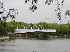 -大兴滨河森林公园