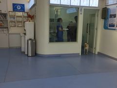 -全心全意动物诊疗中心医院(北苑店)