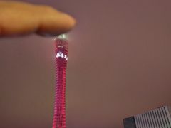 -珠江夜游广州塔·中大码头