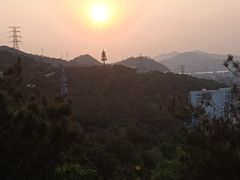 -仙岳公园