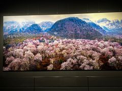 -罗红摄影艺术馆