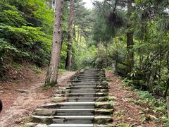 -东天目山风景区