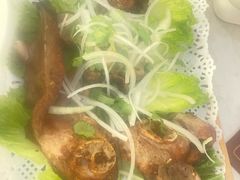 -五一花·喀什盛宴