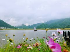 -大九湖