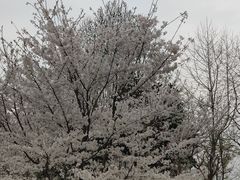 -堤角公园
