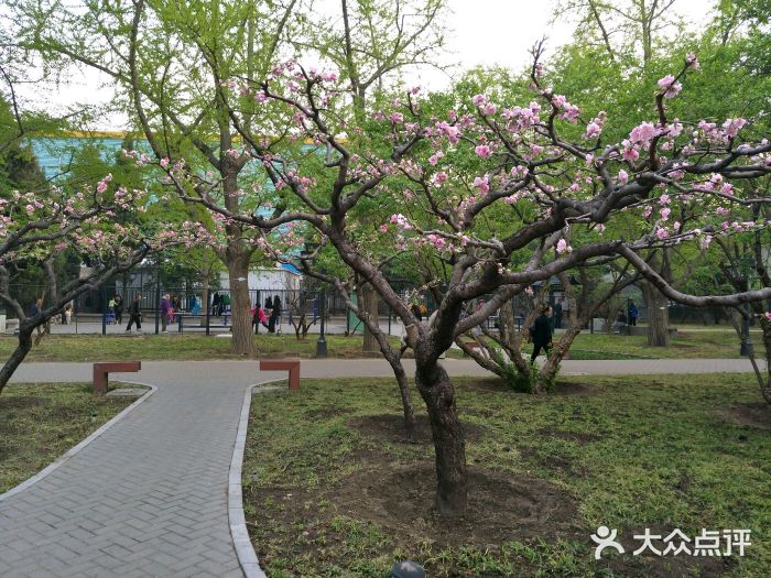 月壇公園-圖片-北京景點/周邊遊-大眾點評網