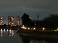 -张鲫鱼家常菜