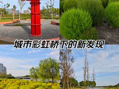 -春花秋色城市公园