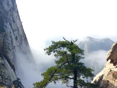 -华山风景名胜区