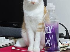 -艾贝尔宠物医院·狂犬免疫点(江山金象城店)