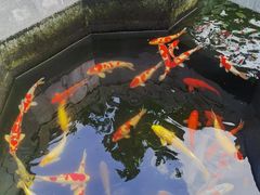 -西安市广仁寺