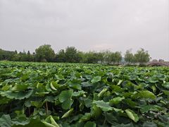 -云龙湖旅游景区