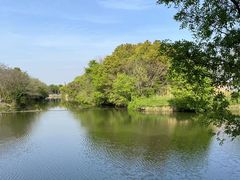 -贡湖湾湿地公园