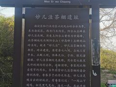 -阳台山自然风景区