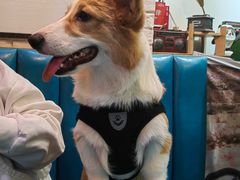 -My Way Town买味堂·东南亚餐厅(亦庄店)