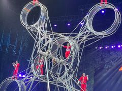 -广州长隆国际大马戏