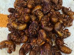 -威海海鲜王(窑头路店)