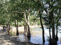 -永定河休闲森林公园