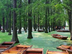 -渌洋湖湿地公园