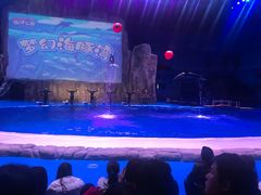 -华夏文旅海洋公园