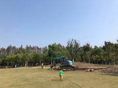 -上海长兴岛郊野公园