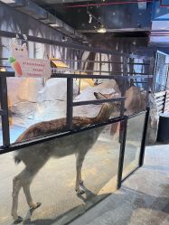 -酷嗒动物文化乐园(cutezoo西溪乐天城店)