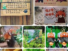-红山森林动物园