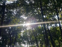 -榴花公园