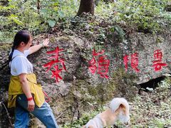 -王顺山国家森林公园