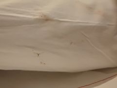 -上海天禧嘉福璞缇酒店