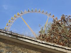 -石家庄市动物园