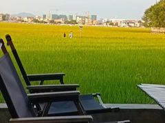 -崖口红树林海鲜餐厅